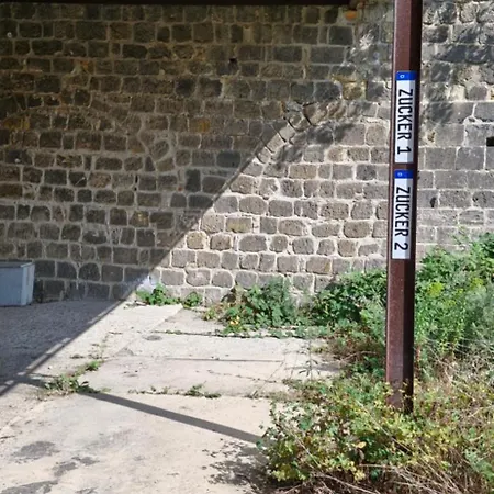 Zuckerschnute